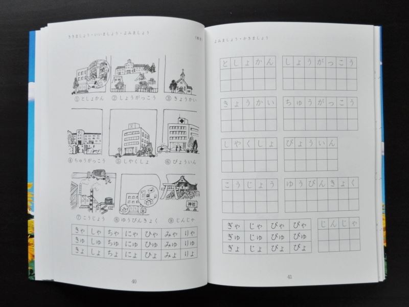 The Shin Nihongo aiueo Japanese language textbook/workbook